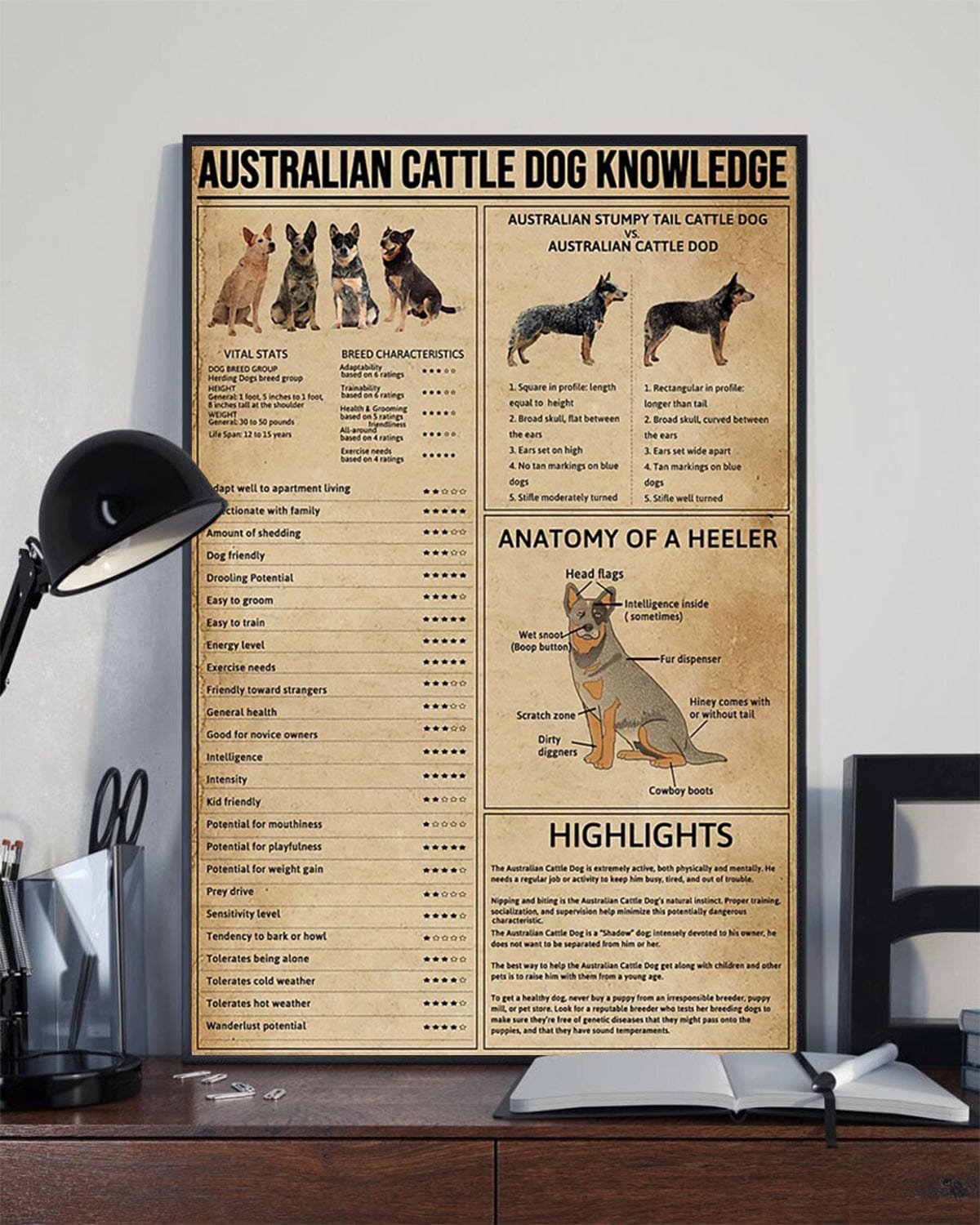 Australian Cattle Dog Knowledge Dog Poster, Canvas