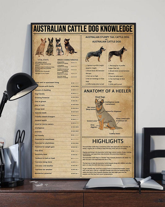 Australian Cattle Dog Knowledge Dog Poster, Canvas