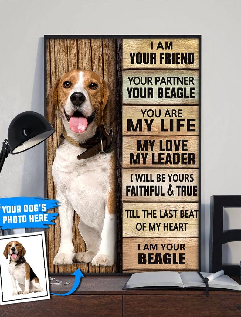 Póster personalizado Soy tu amigo, soy tu beagle, lienzo