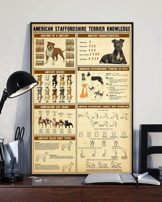 American Staffordshire Terrier Knowledge Dog Poster, Canvas