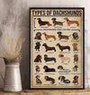 Types Of Dachshunds Dog Poster, Canvas