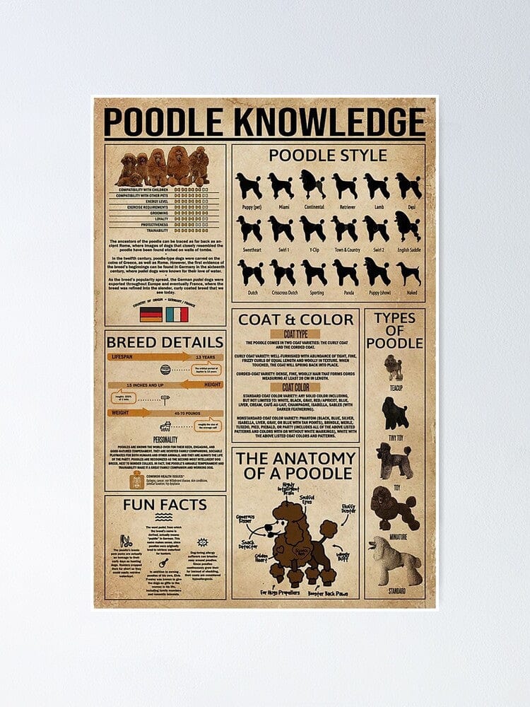 Poodle Knowledge Poster, Canvas