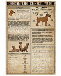 Rhodesian Ridgeback Knowledge Poster, Canvas