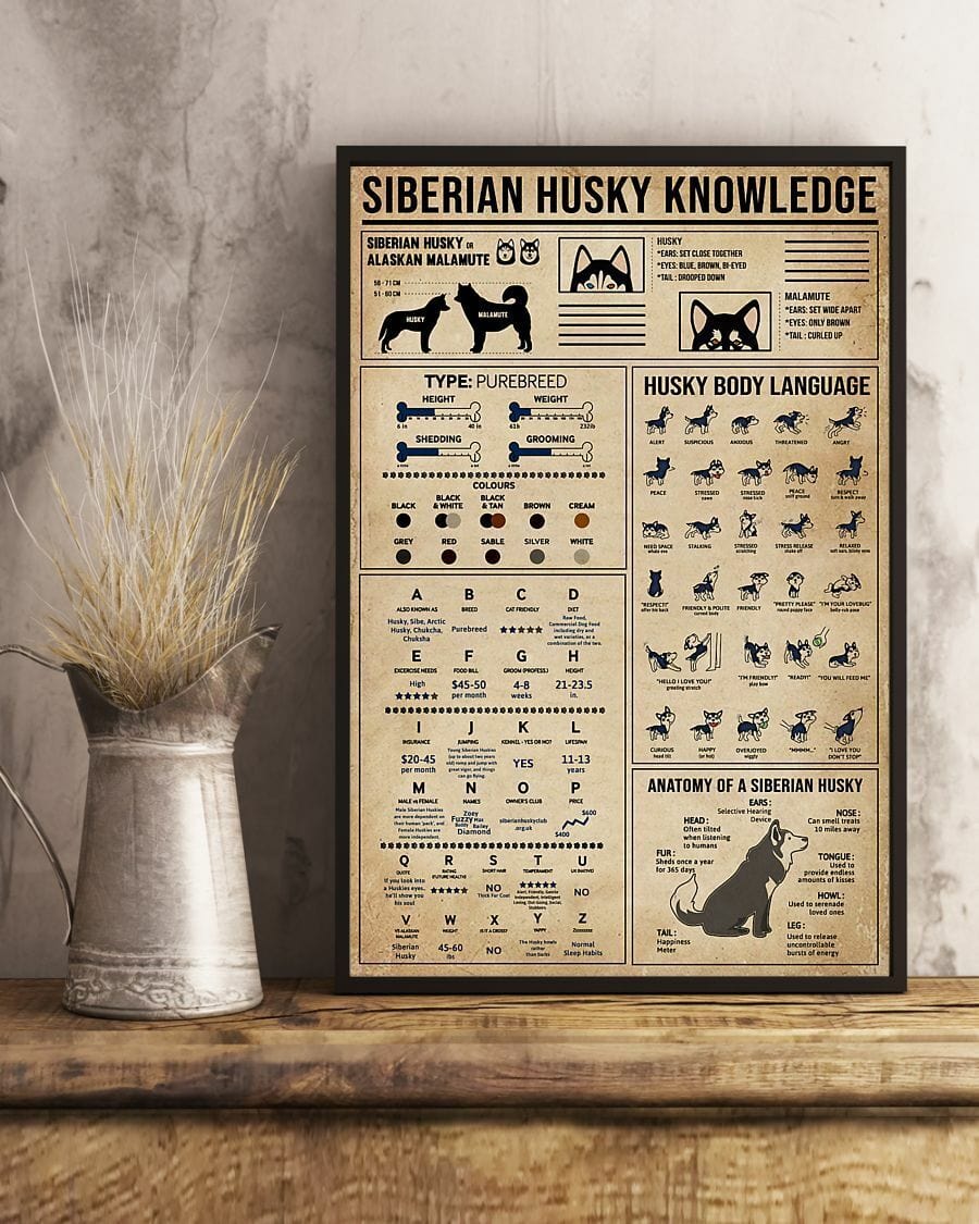 Siberian Husky Knowledge Dog Poster, Canvas