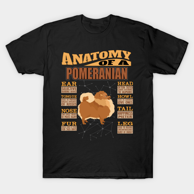 Anatomy Of A Pomeranian Shirt
