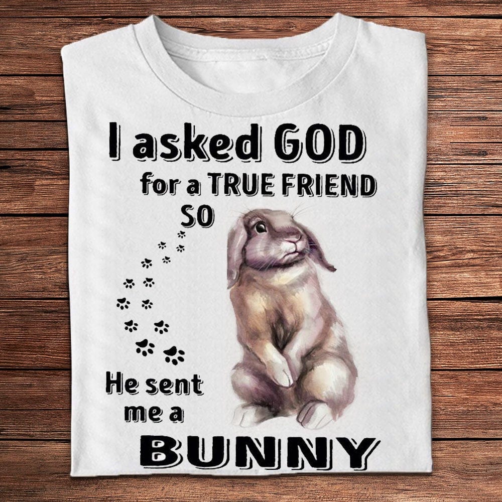 Le pedí a Dios un verdadero amigo y me envió una camiseta de conejo