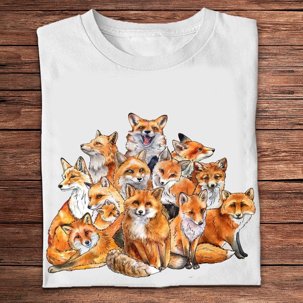 Camisetas de Fox de Big Lots
