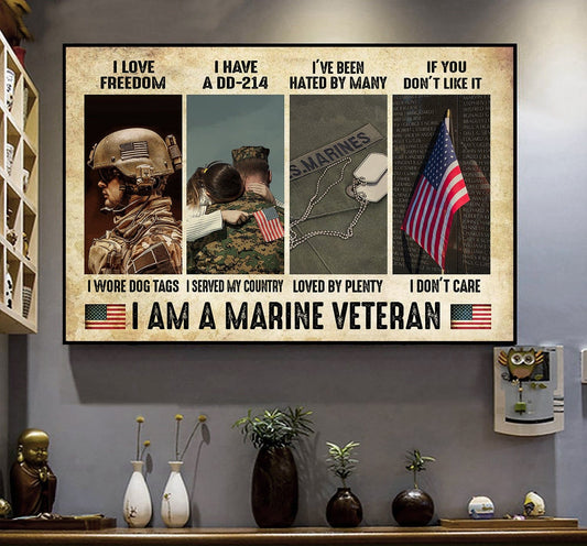 Soy un veterano de la marina, póster, lienzo