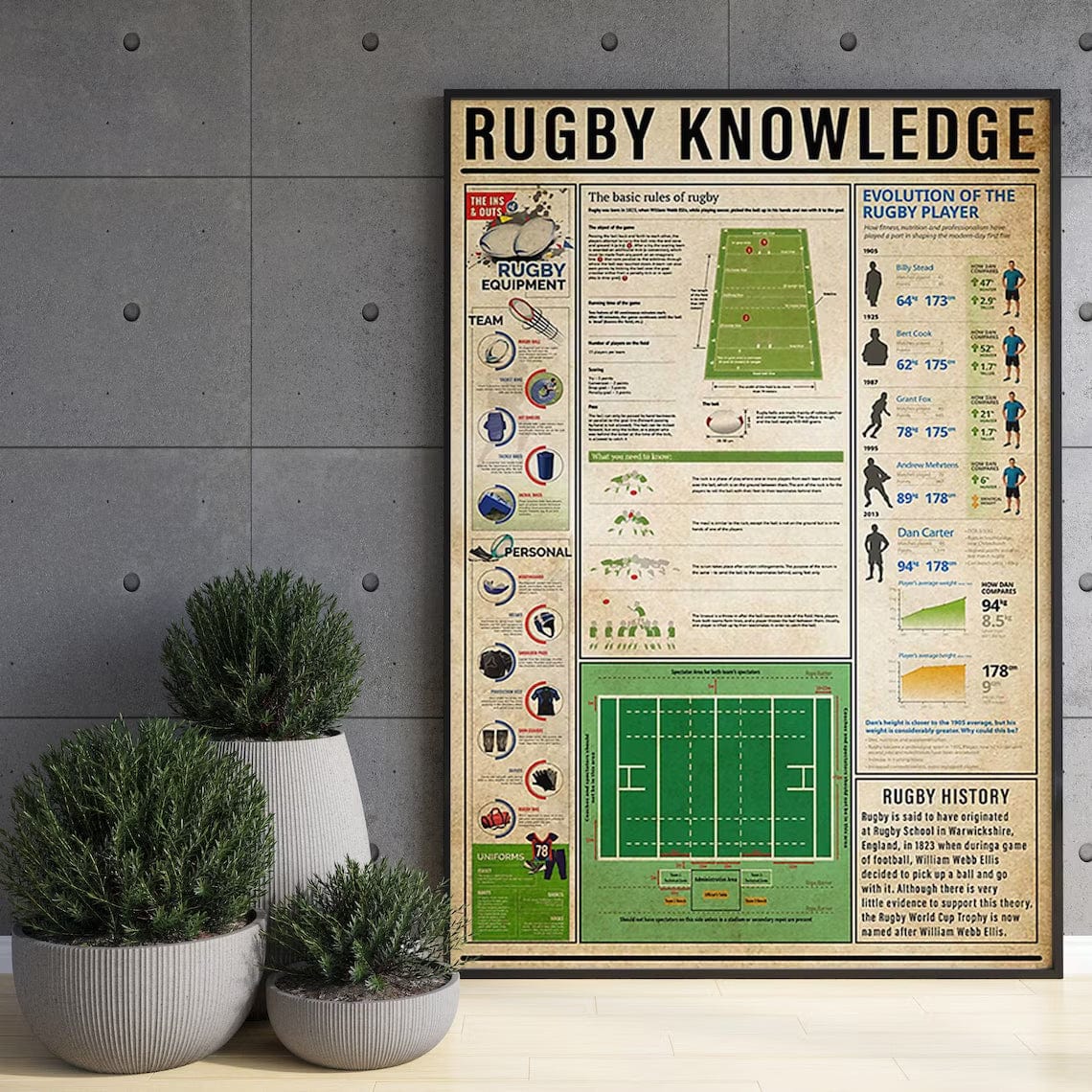 Póster de conocimientos sobre rugby, lienzo