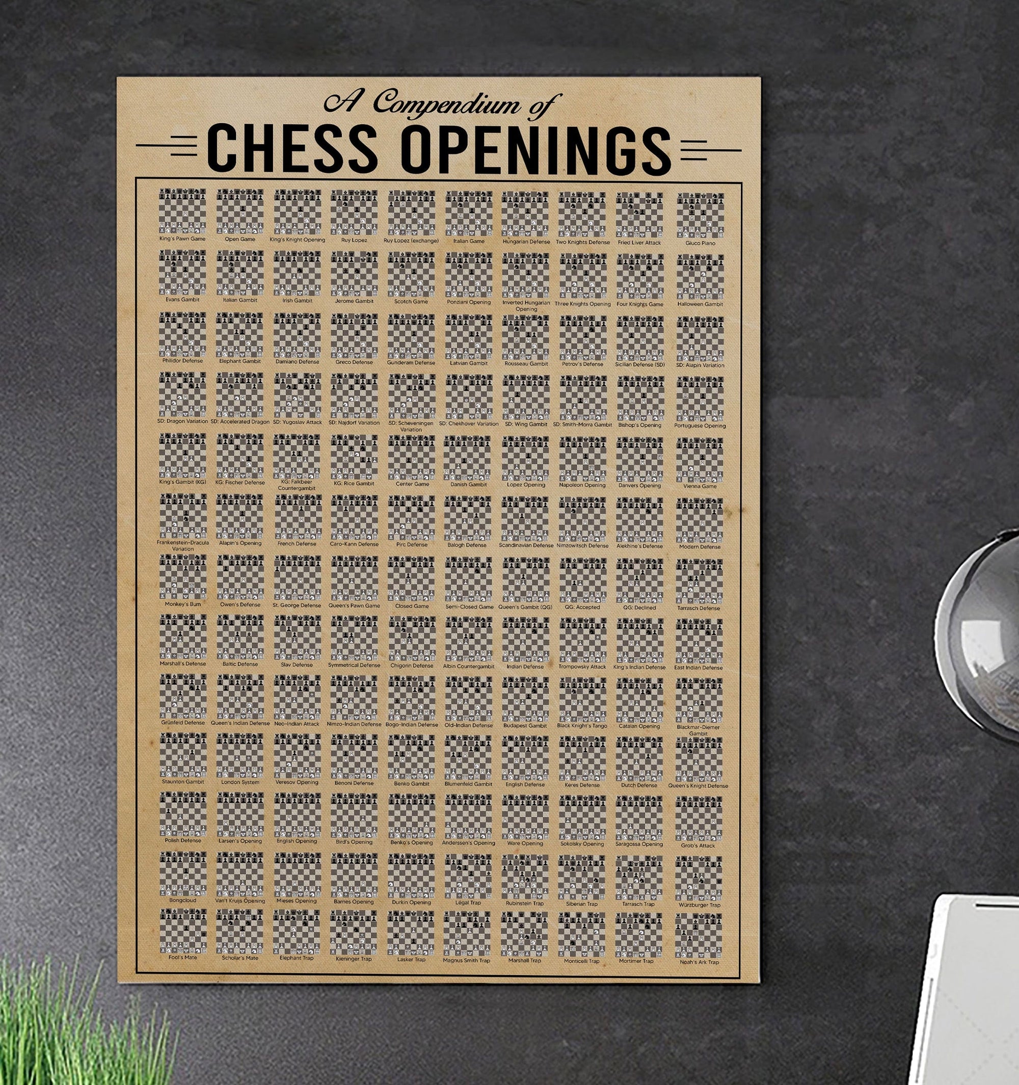 A Compendium Of Chess Openings Poster, Canvas