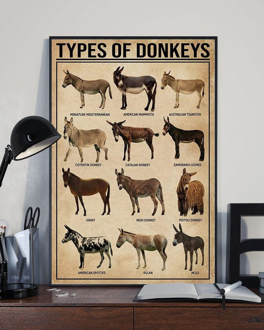 Póster de tipos de burros, lienzo