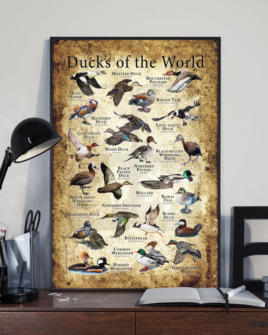 Ducks Of The World Poster, Canvas