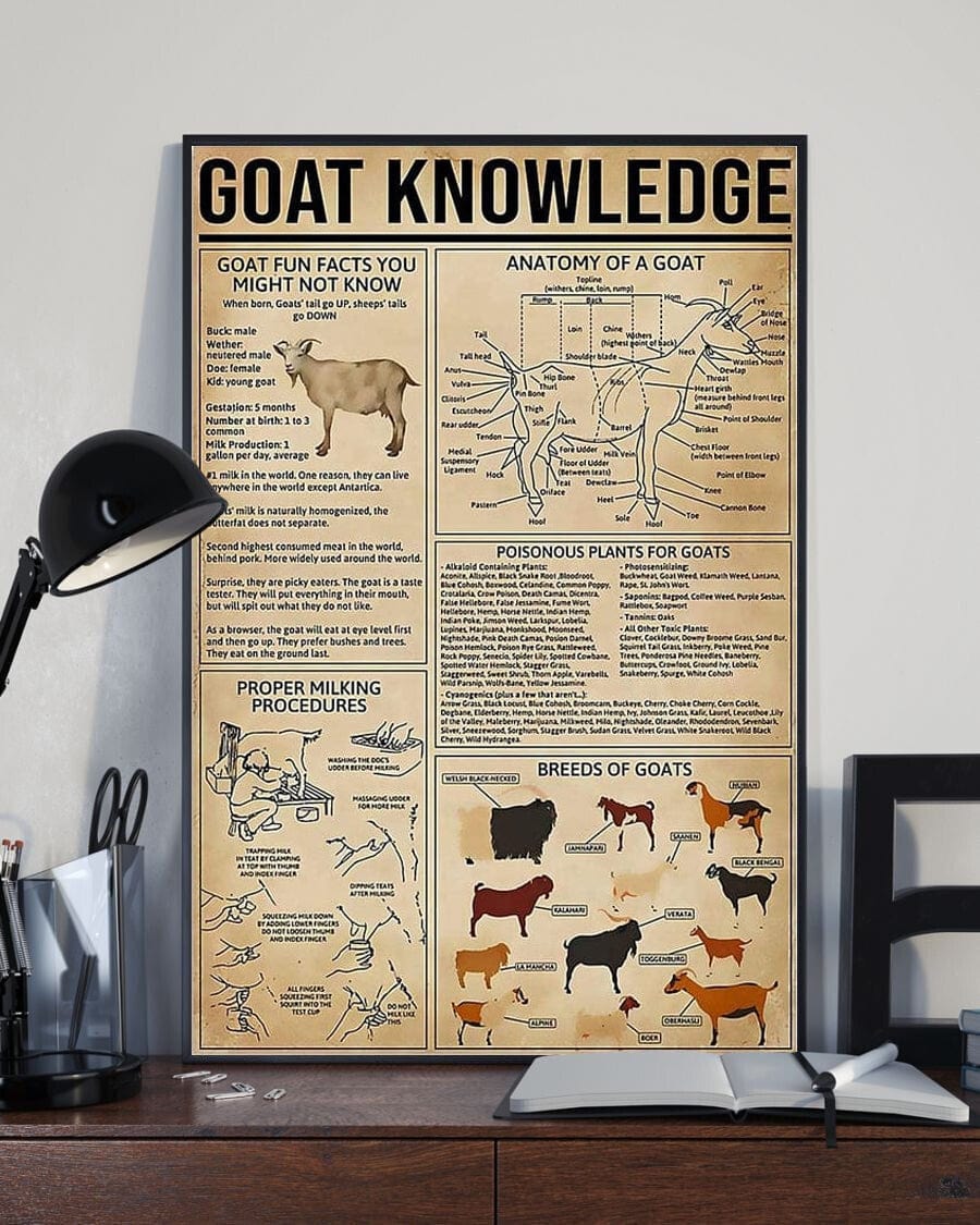 Goat Knowledge Poster, Canvas