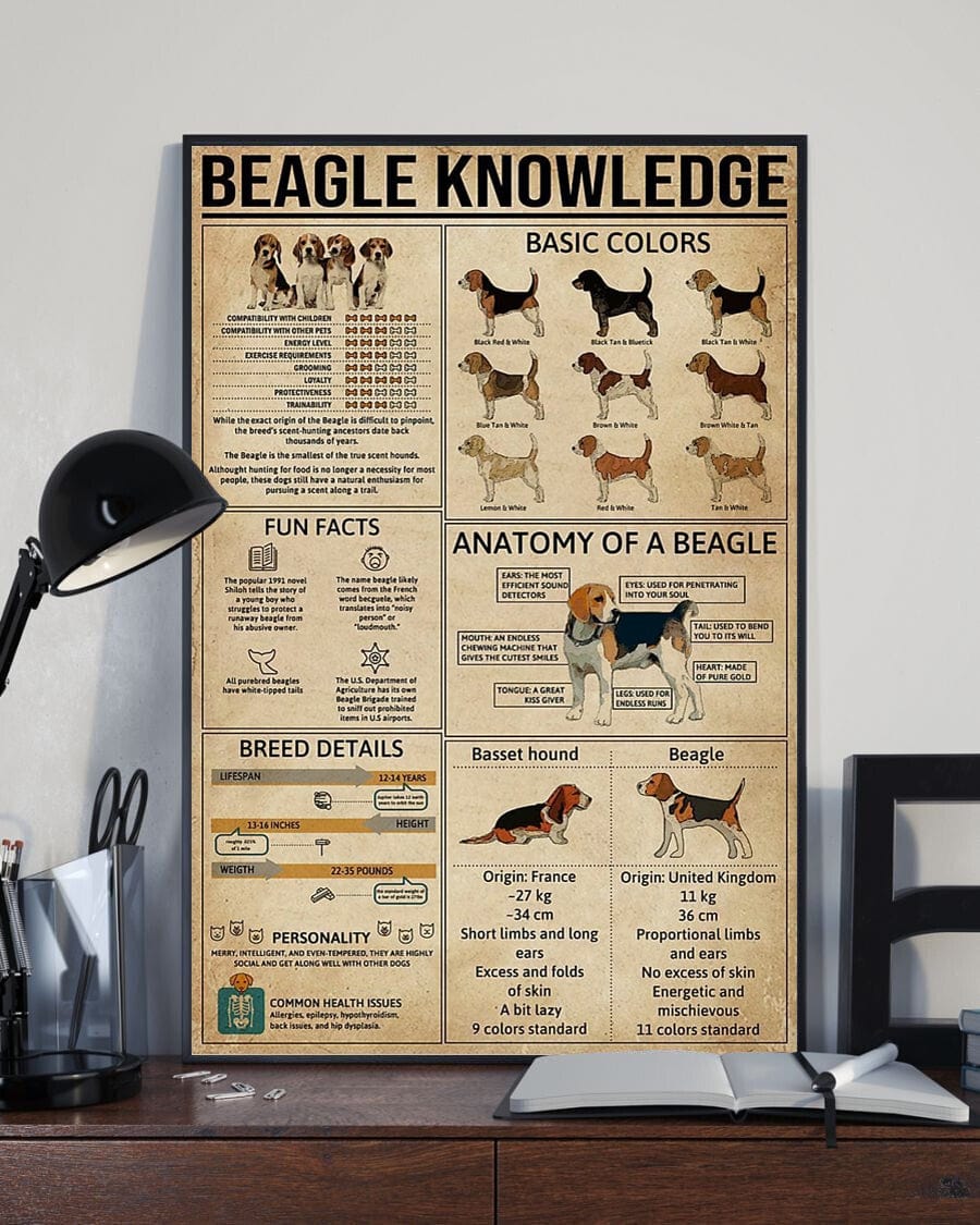 Beagle Knowledge Dog Poster, Canvas