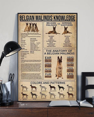 Póster de conocimiento sobre el perro pastor belga malinois, lienzo