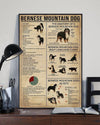 Bernese Mountain Dog Knowledge Poster, Canvas