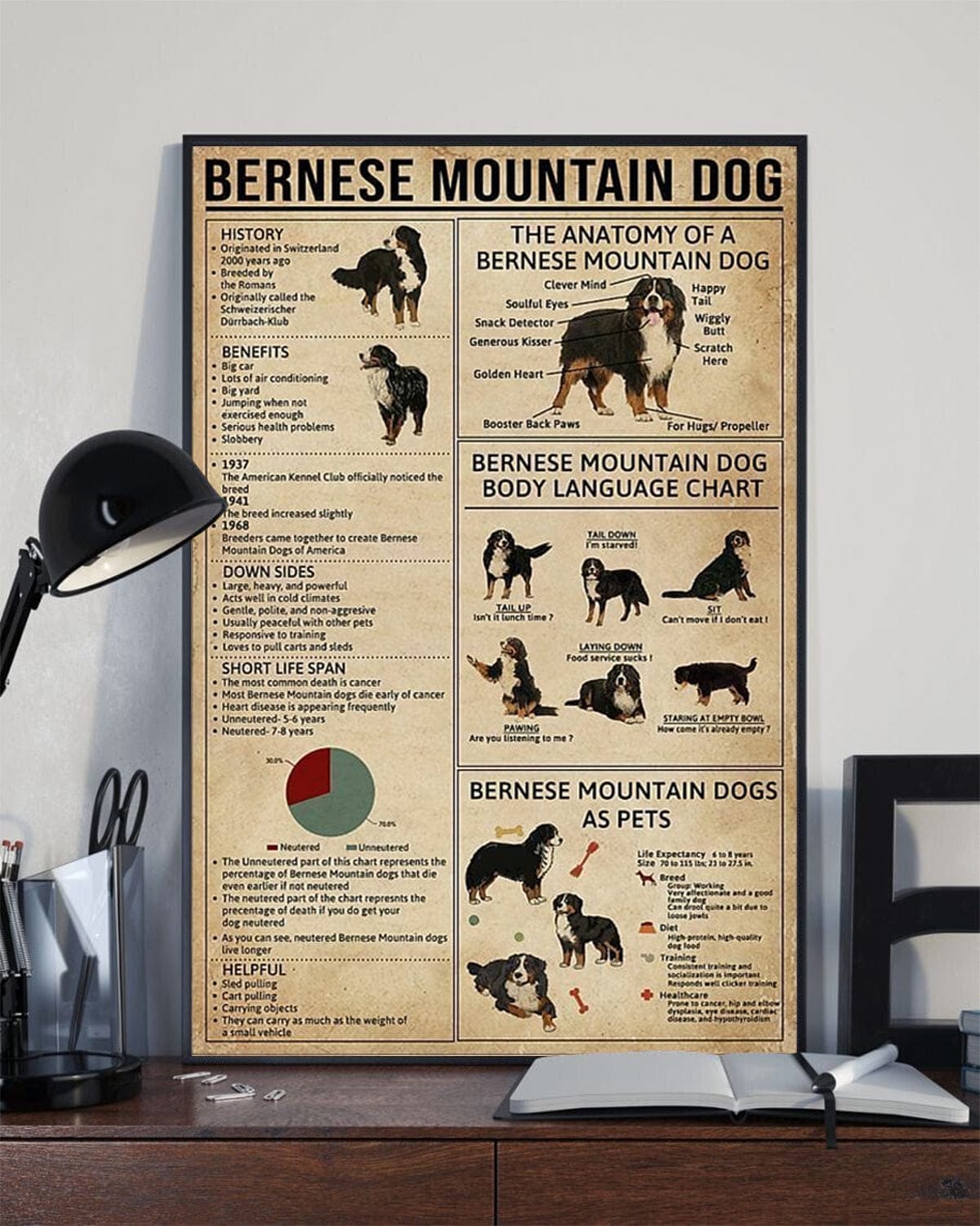 Póster de conocimientos sobre el perro de montaña bernés, lienzo