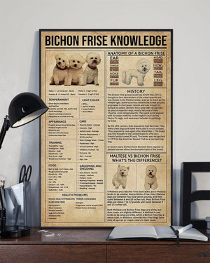 Bichon Frise Knowledge Poster, Canvas