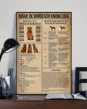 Dogue De Bordeaux Knowledge Poster, Canvas