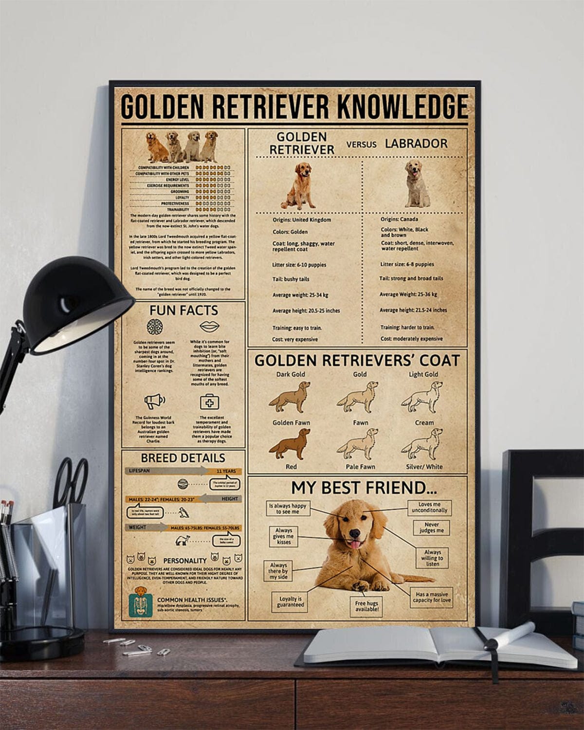 Golden Retriever Knowledge Poster, Canvas