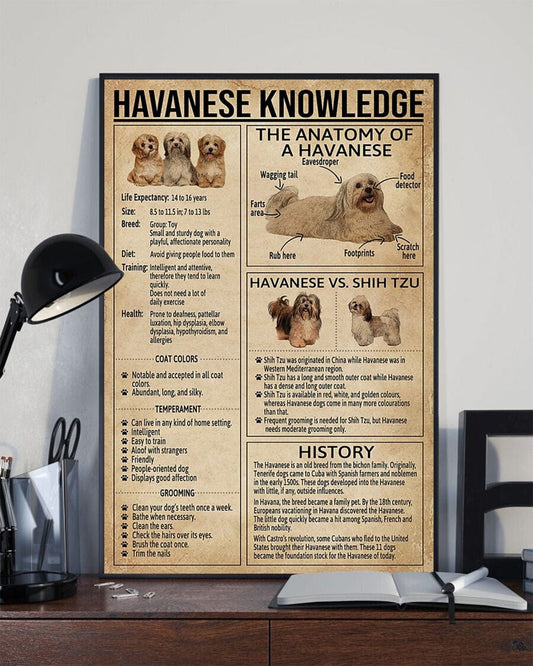 Póster de conocimiento del habanero, lienzo