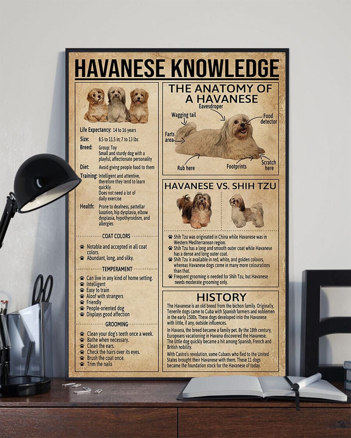 Havanese Knowledge Poster, Canvas