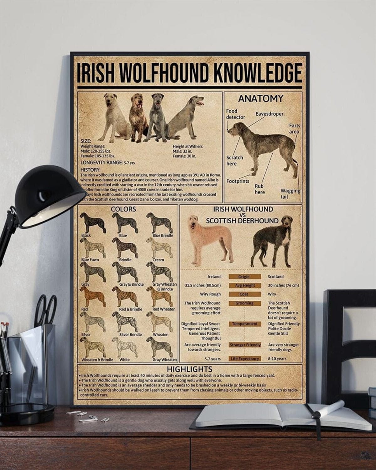 Póster de conocimientos sobre el perro lobo irlandés, lienzo