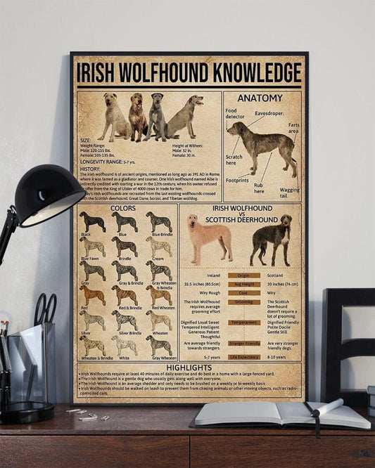 Póster de conocimientos sobre el perro lobo irlandés, lienzo