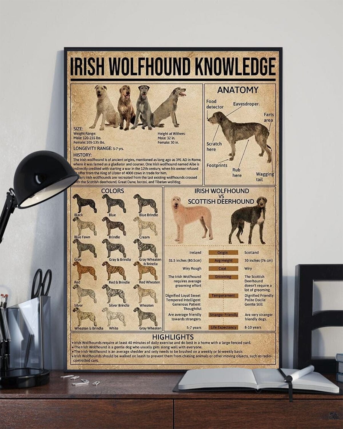 Irish Wolfhound Knowledge Poster, Canvas