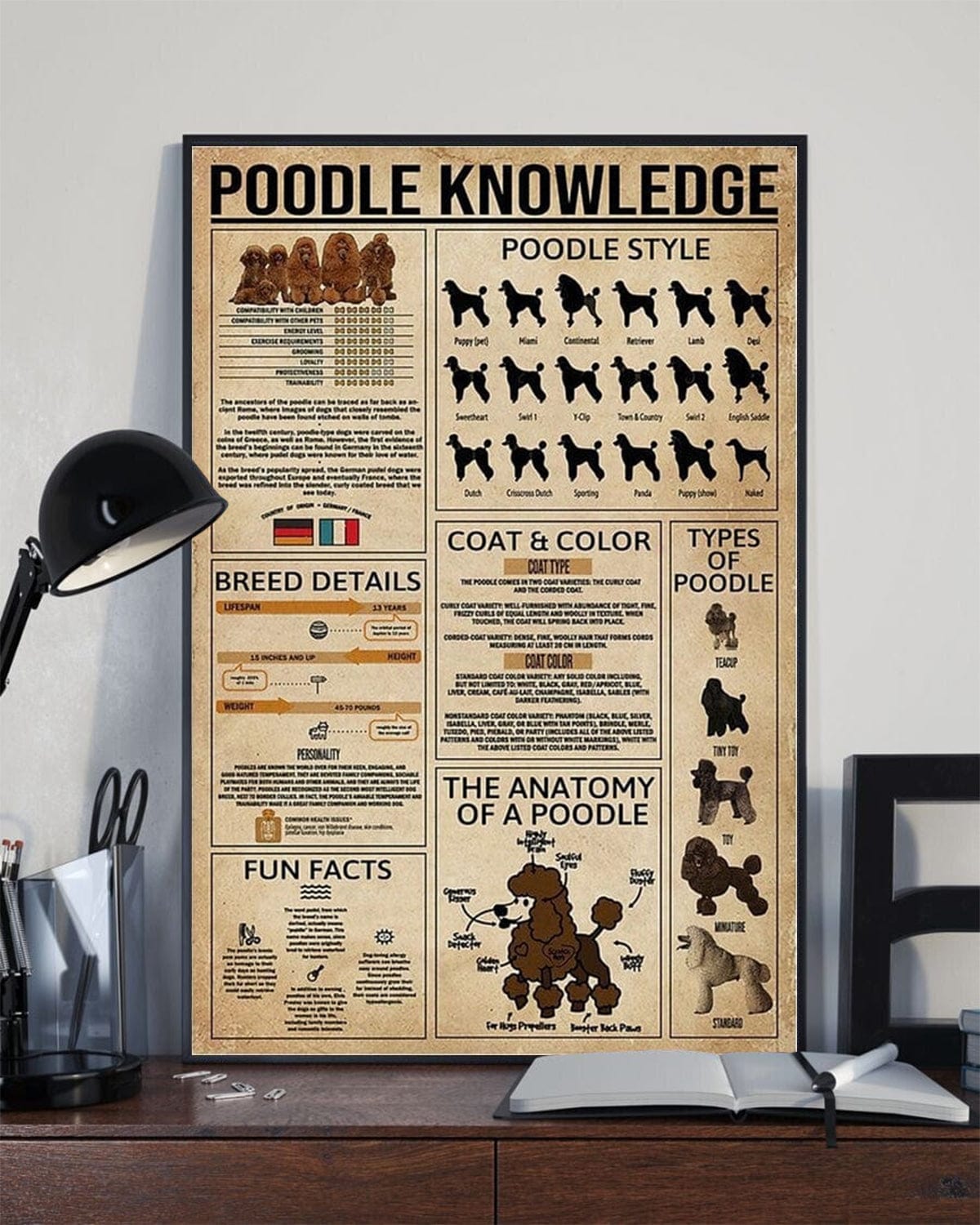 Poodle Knowledge Poster, Canvas