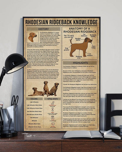 Rhodesian Ridgeback Knowledge Poster, Canvas