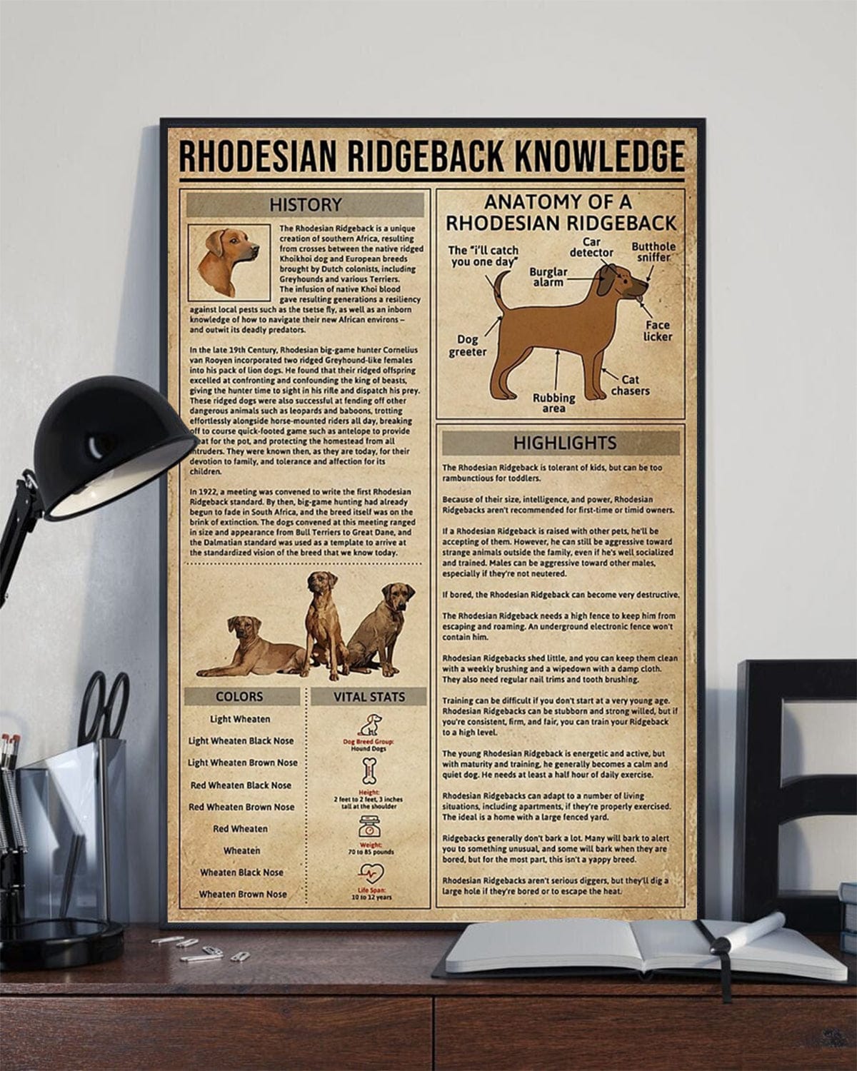 Rhodesian Ridgeback Knowledge Poster, Canvas