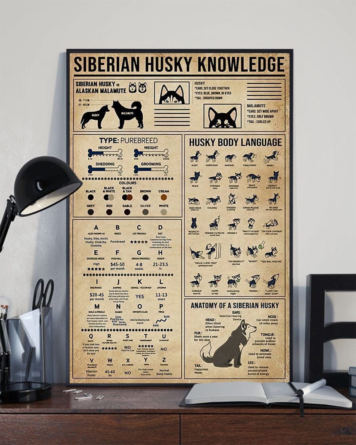 Siberian Husky Knowledge Dog Poster, Canvas