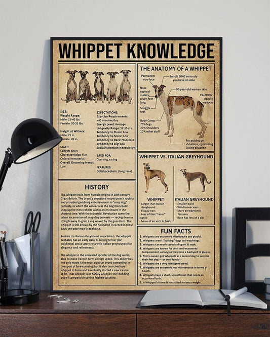 Póster de perro Whippet Knowledge, lienzo