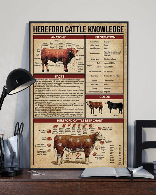 Póster de vacas Hereford Knowledge, lienzo