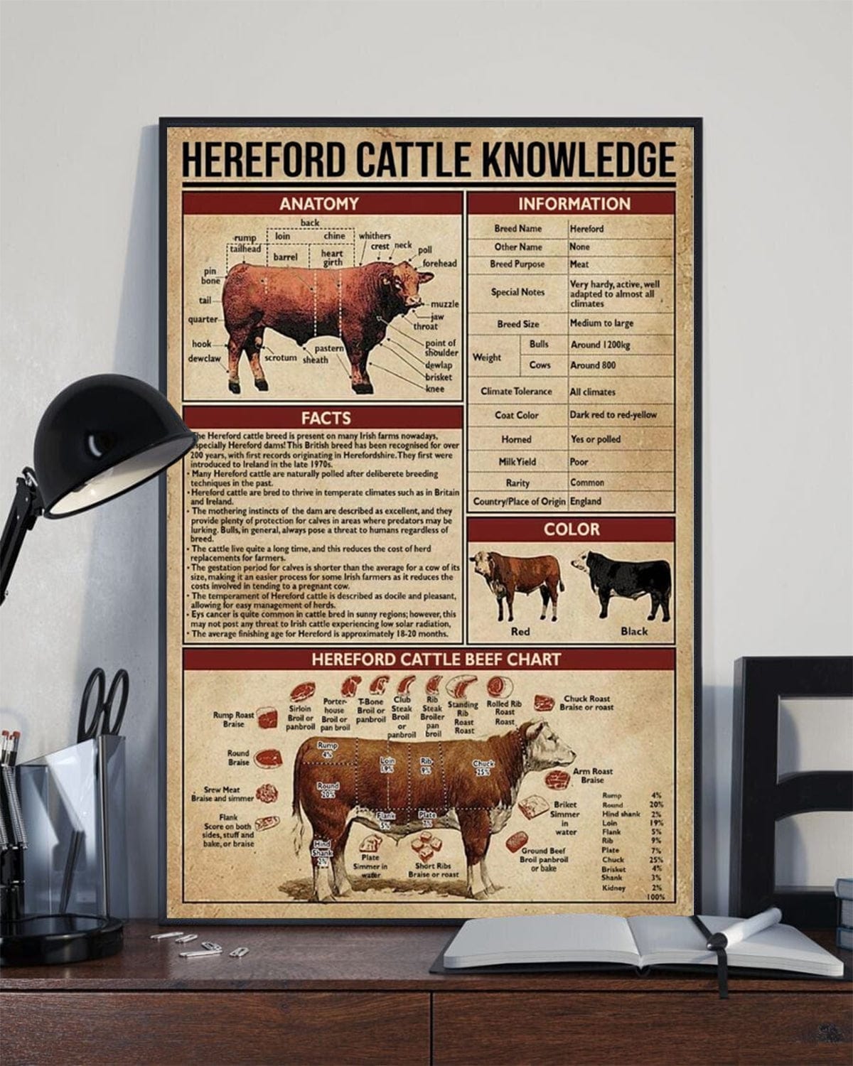Hereford Cattle Knowledge Cow Poster, Canvas