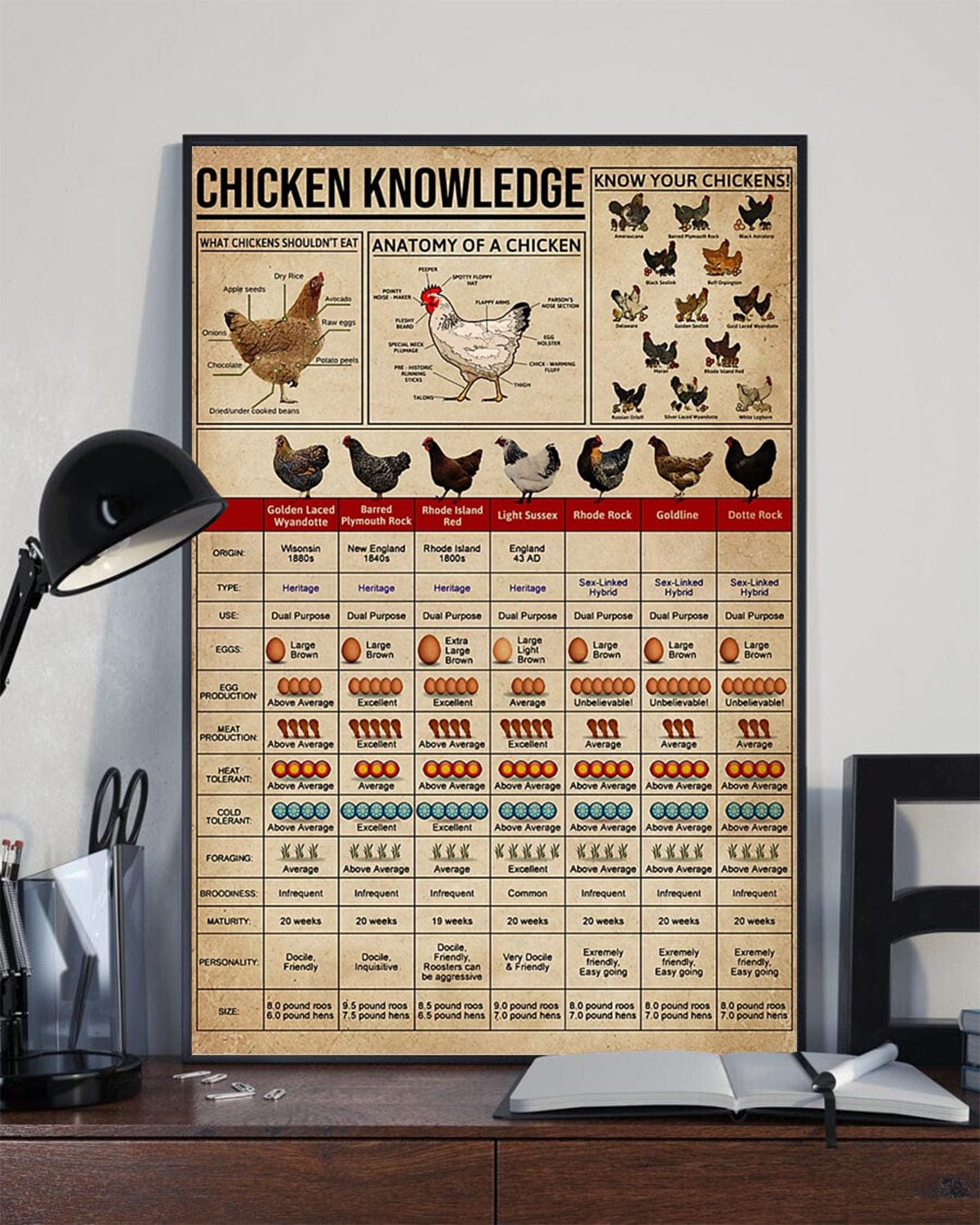 Chicken Knowledge Poster, Canvas