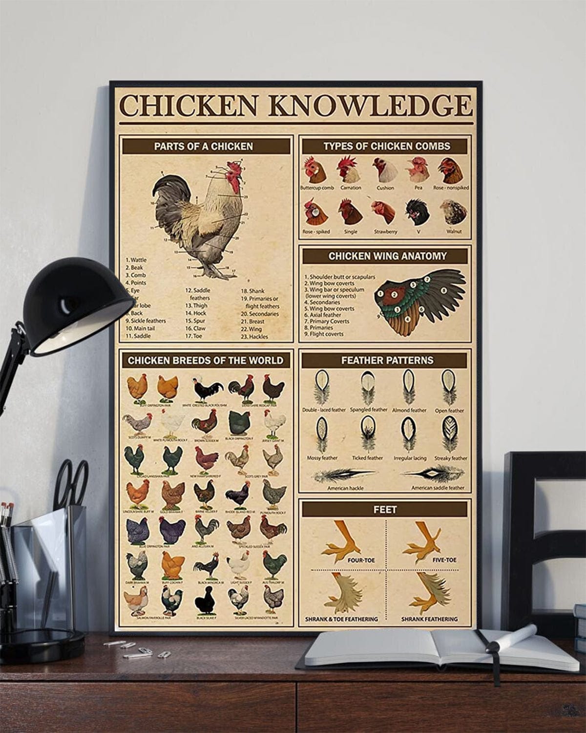 Póster, lienzo, razas de pollos del mundo, conocimiento sobre pollos