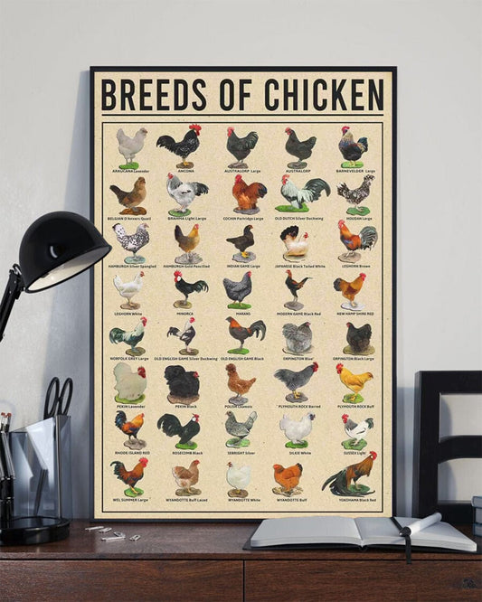 Póster de razas de pollos, lienzo