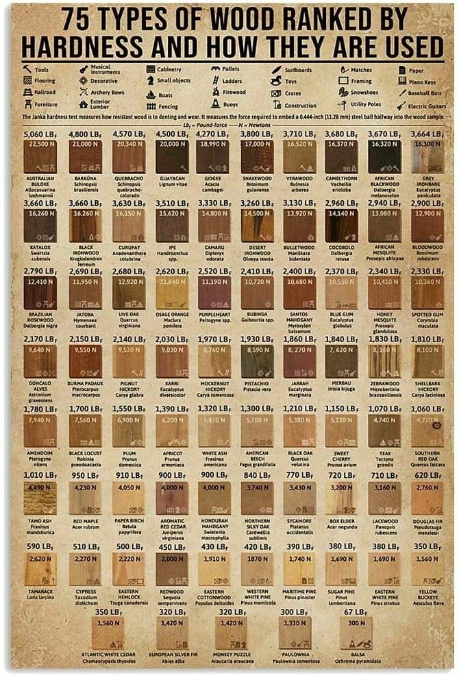 75 Types Of Wood Ranked By Hardness And How They Are Used Guide Carpenter Knowledge Poster, Canvas