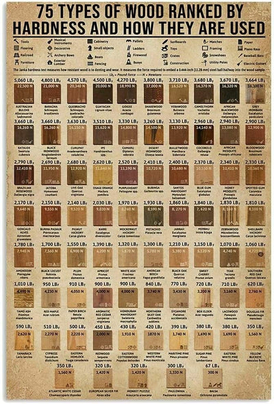 75 Types Of Wood Ranked By Hardness And How They Are Used Guide Carpenter Knowledge Poster, Canvas