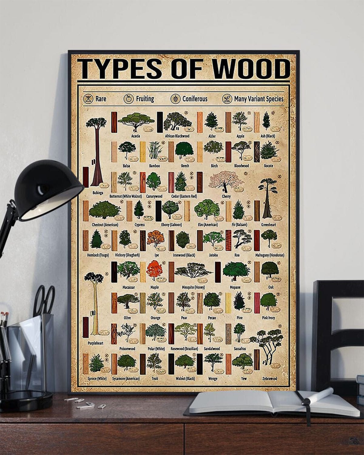 Types Of Wood Carpenter Knowledge Poster, Canvas