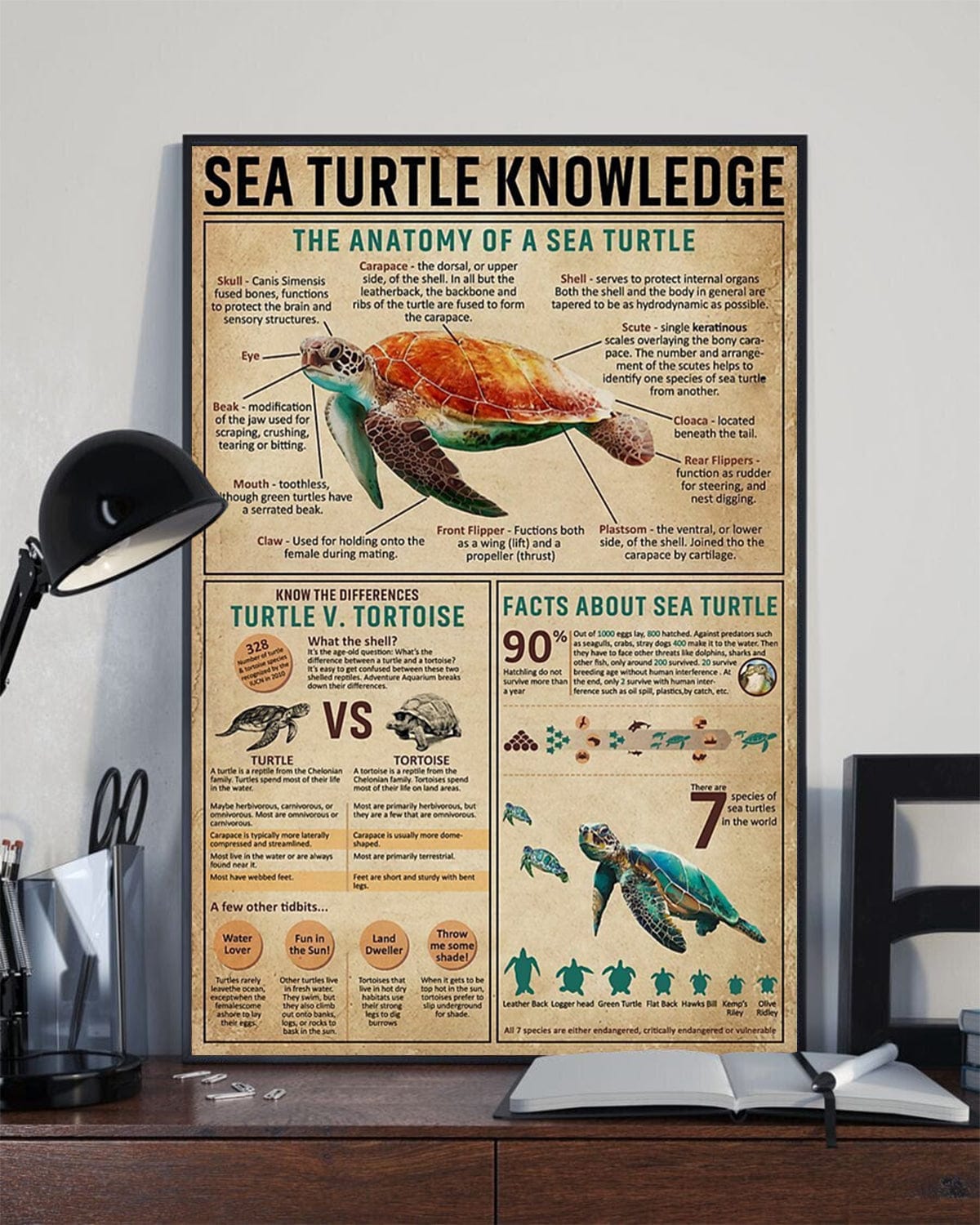 Sea Turtle Knowledge Poster, Canvas