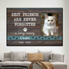 Personalized Cat Memorial Poster, Canvas - Best Friends Are Never Forgotten