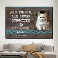 Personalized Cat Memorial Poster, Canvas - Best Friends Are Never Forgotten