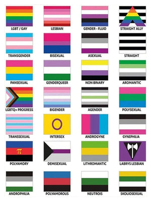 Flags Of LGBTQIA All Pride Flags Poster, Canvas