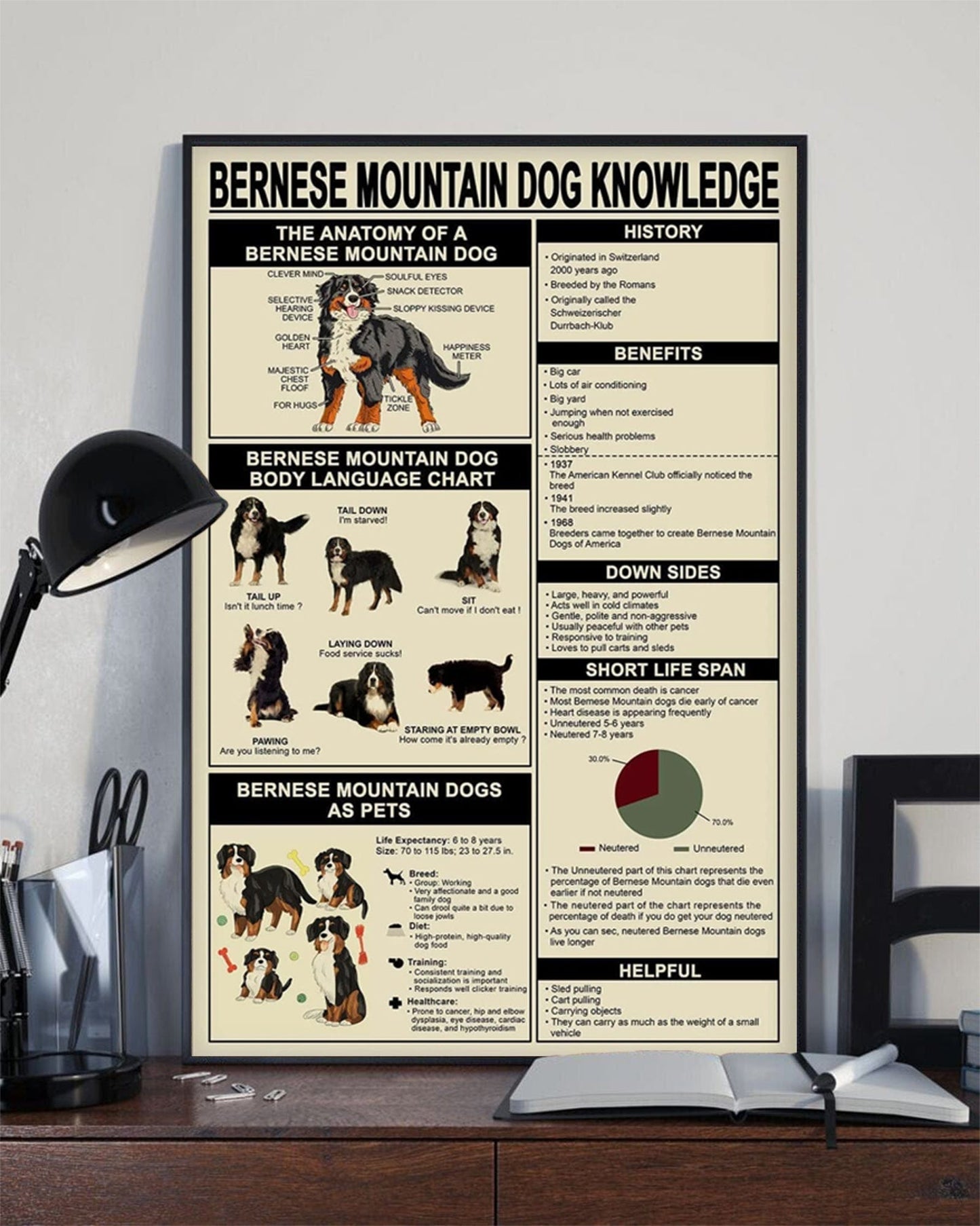 Bernese Mountain Dog Knowledge Poster, Canvas