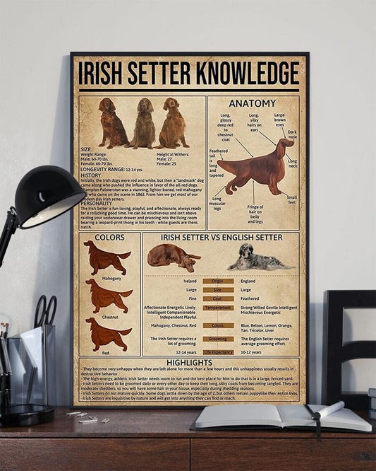 Póster de conocimientos sobre el setter irlandés, lienzo
