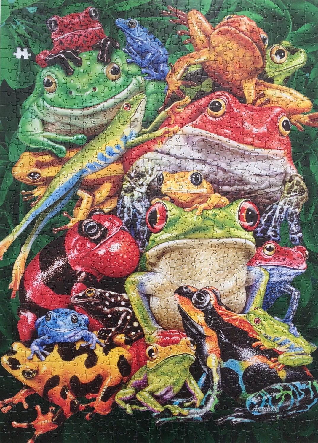 Frogs Jigsaw Puzzle, Autism Toys For Kids, Adults, Whimsical Jigsaw Puzzle