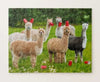 Alpacas With Red Cups Jigsaw Puzzle, Autism Toys For Kids, Adults